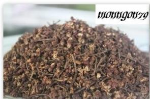 Hạt sẻn (hạt tiêu rừng, hạt mắc kén)