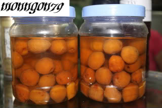 Mơ ngâm đường (Hà Nội)